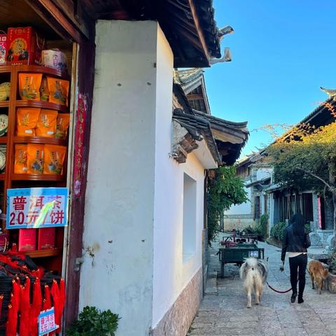 丽江一周天气预报,高原古城的气温起伏与旅行建议 丽江一周天气预报,高原古城的气温起伏与旅行建议