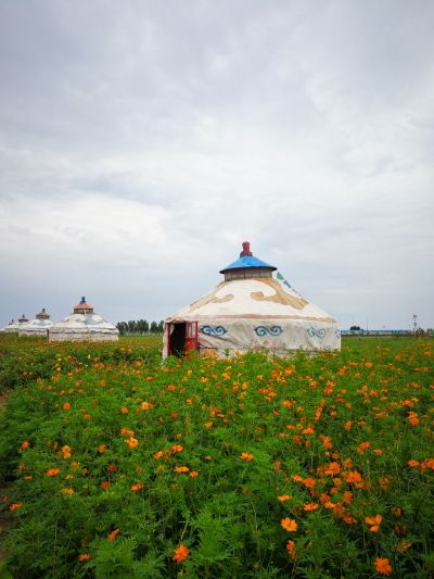 杜尔伯特天气预报,草原上的风云变幻与生活指南 杜尔伯特天气预报,草原上的风云变幻与生活指南