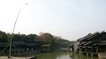 鱼台天气，水乡四季的呼吸与诗意