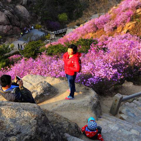 黄岛天气，山海之间的呼吸与变幻