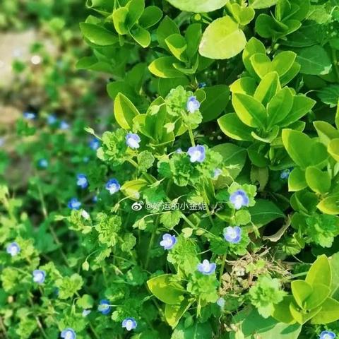 山东今明后三天天气,晴暖为主,局部有雨,出行需留意 山东今明后三天天气,晴暖为主,局部有雨,出行需留意