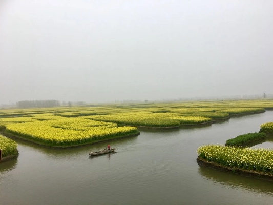 兴化天气预报，水乡天气里的生活智慧