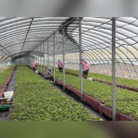辽宁暴雨最新消息，多地出现内涝，各部门紧急救援