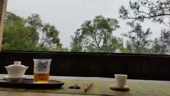 晨起温茶夜听雨，一份天气预报里的生活美学