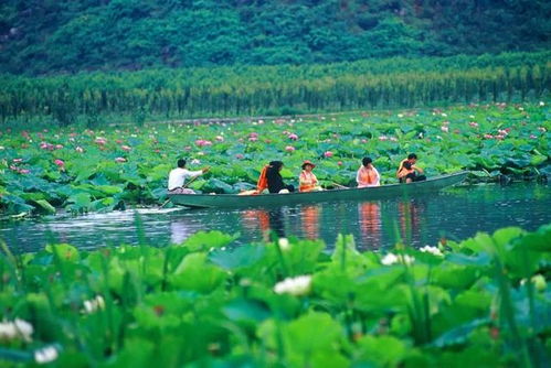 洪湖天气预报,水乡风云的四季诗篇 洪湖天气预报,水乡风云的四季诗篇