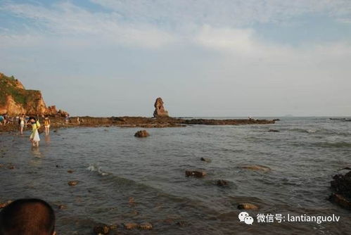 指尖上的碧海蓝天，下载青岛天气预报，开启你的山海之旅
