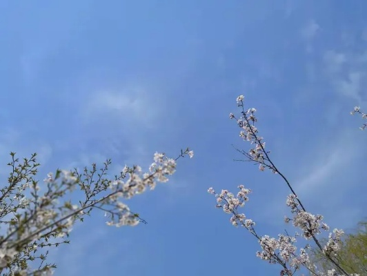 昆明的天空,是一封写给春天的情书 昆明的天空,是一封写给春天的情书