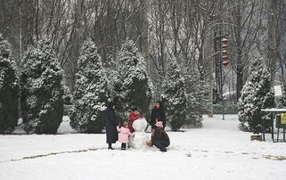 沈阳今日天气，春雪初霁，暖意渐生